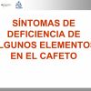 Síntomas de deficiencia de algunos elementos en el cafeto